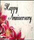 Aniversary